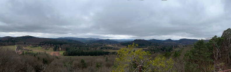 24-03-01 12-14-54 8864.jpeg